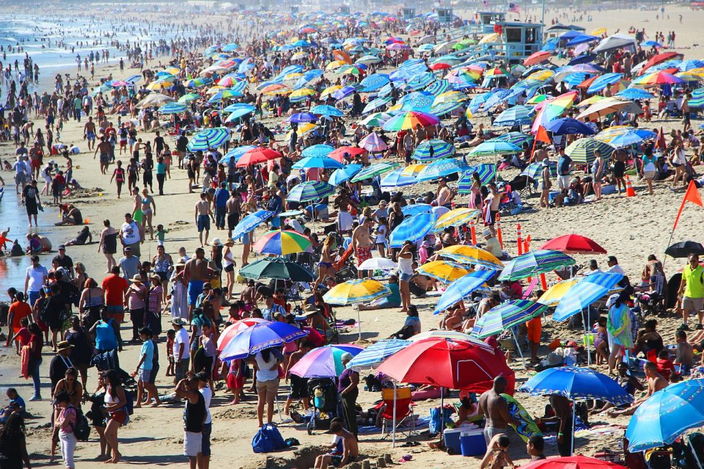 people on beach during daytime