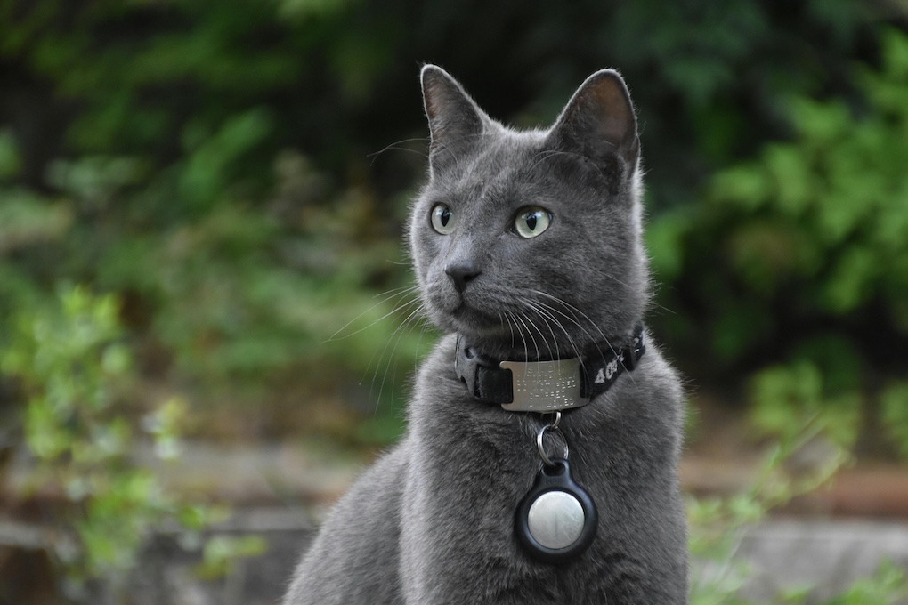 waarschuwing tracker huisdieren