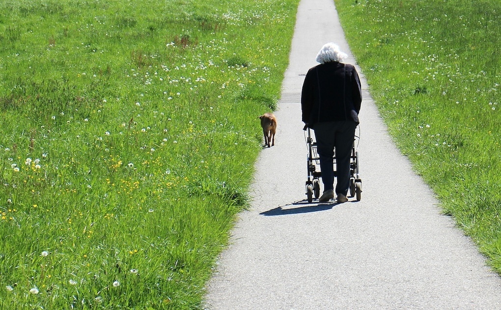 vrouw met rollator spoorloos verdwenen